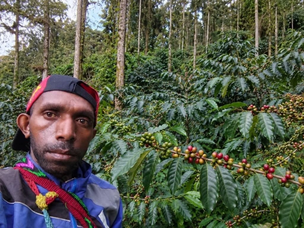 Nikson di kebun kopinya. (Dok. Pribadi)