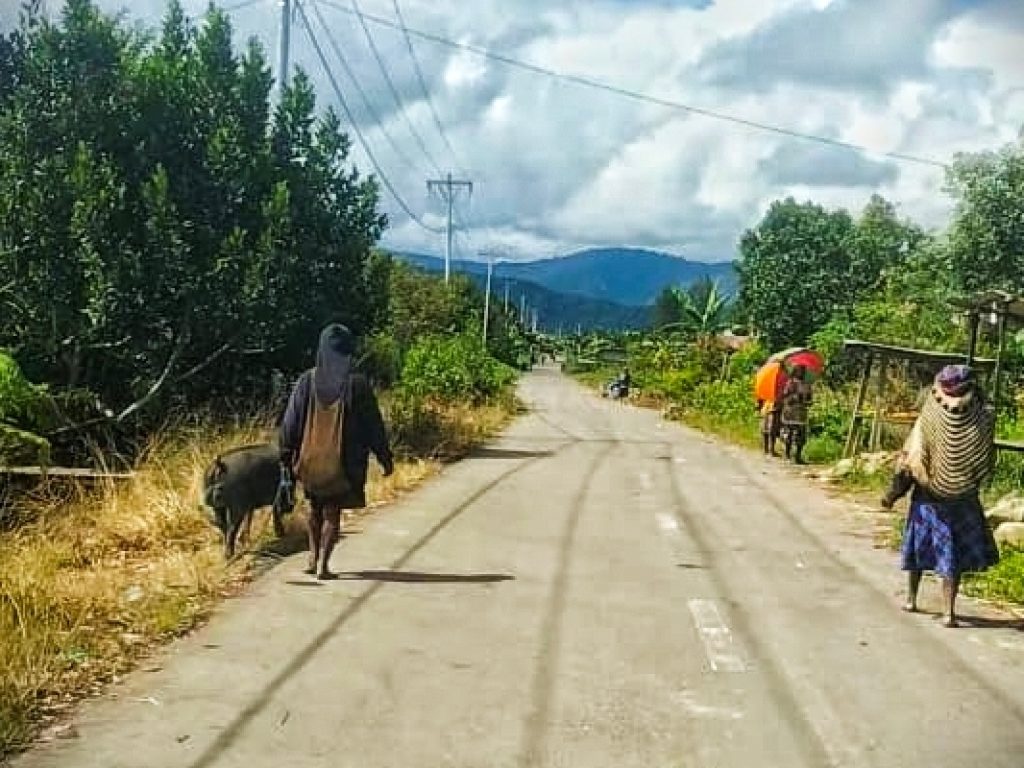 Bapa Matias (bagian kiri), dan mama Marta (bagian kanan), sedang berjalan turun ke arah pasar Moanemani di jalan Ekemanida. (Dok: Herman)