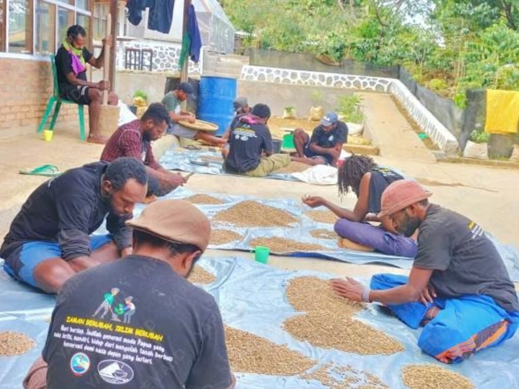 Belajar sortir kopi saat SekolaB kopi, 2022. (Dok. Yapkema)