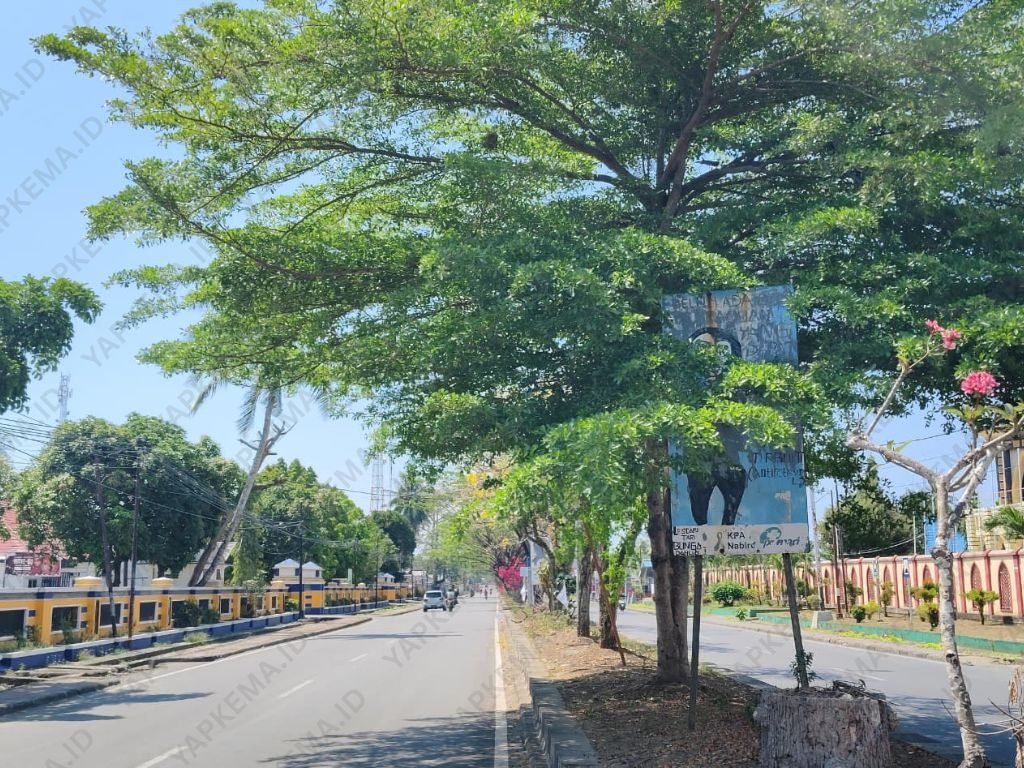 Salah satu poster kampanye HIV yang sudah lama terpasang tampak usang, tertutup daun pohon, dan tidak terawat di trotoar Jalan Merdeka, Nabire. (Dok. Pribadi)