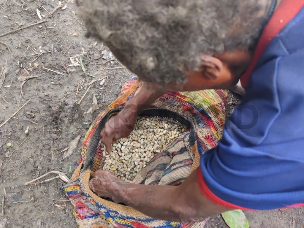 Mama Goo dari kampung Pugatadi Dogiyai, ketika memperlihatkan biji kopi yang hendak dijual di UPH Enauto Dogiyai (Dok. Yapkema).