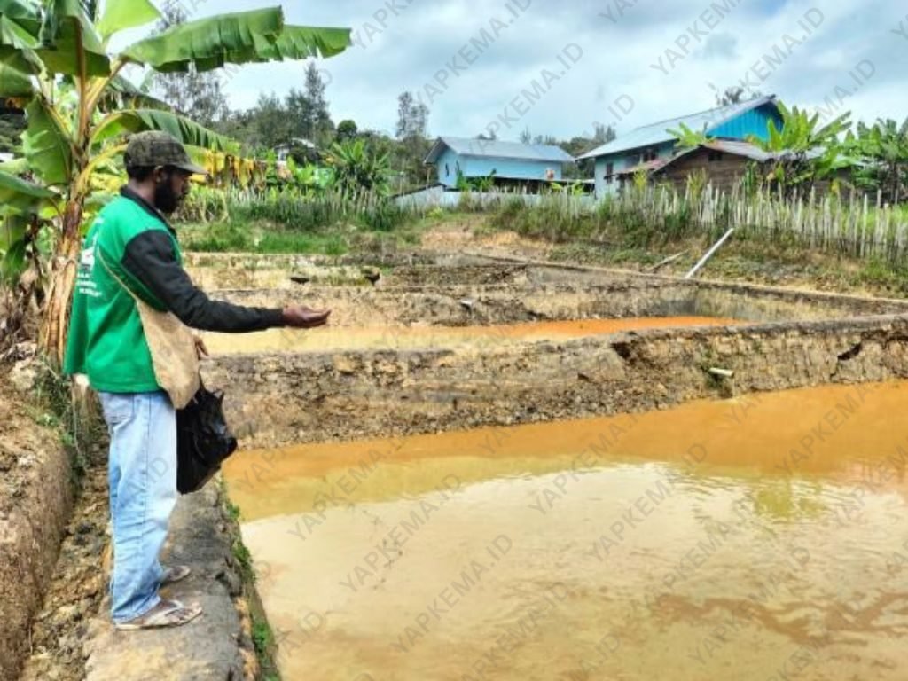 Nikson sedang memberi makan ikan di kolam dalam pekarangan rumah, 2022. (Dok. Yapkema)