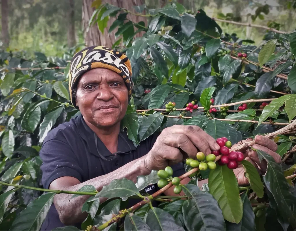 peserta Petani budidaya Kopi Owaadaa