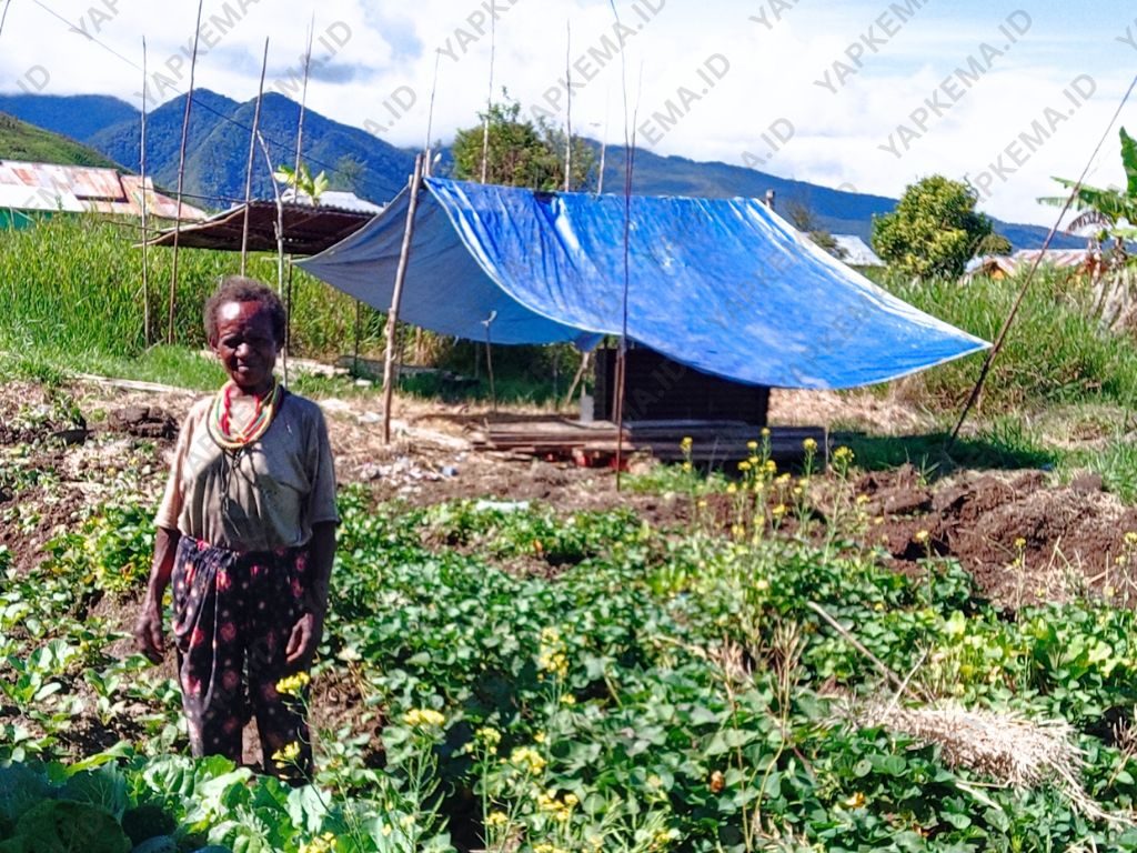 Perempuan Papua