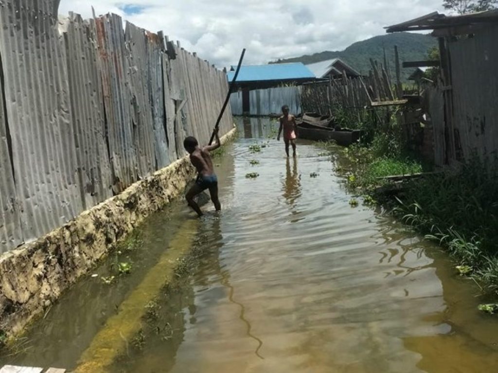 Picture5 Beberapa Anak di kampung Kogekotu mencari Ikan sambil Bermain Air, tampak mengasyikkan, tetapi air banjir dapat membawa bakteri, virus, dan parasit penyebab penyakit, Minggu (28/09/2025). Dok: Yapkema