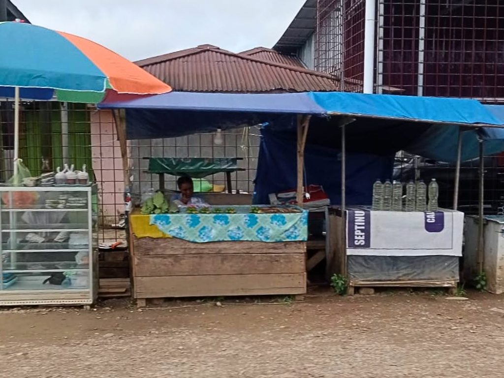 Gambar seorang pedagang, mama Papua berjualan di pinggir jalan (Dok. Pigai Wegobi)